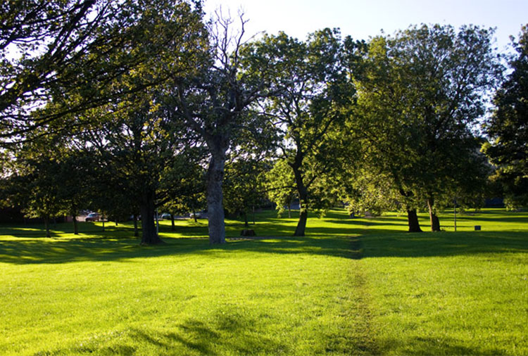 Pilrig Park block - Antler Guest House